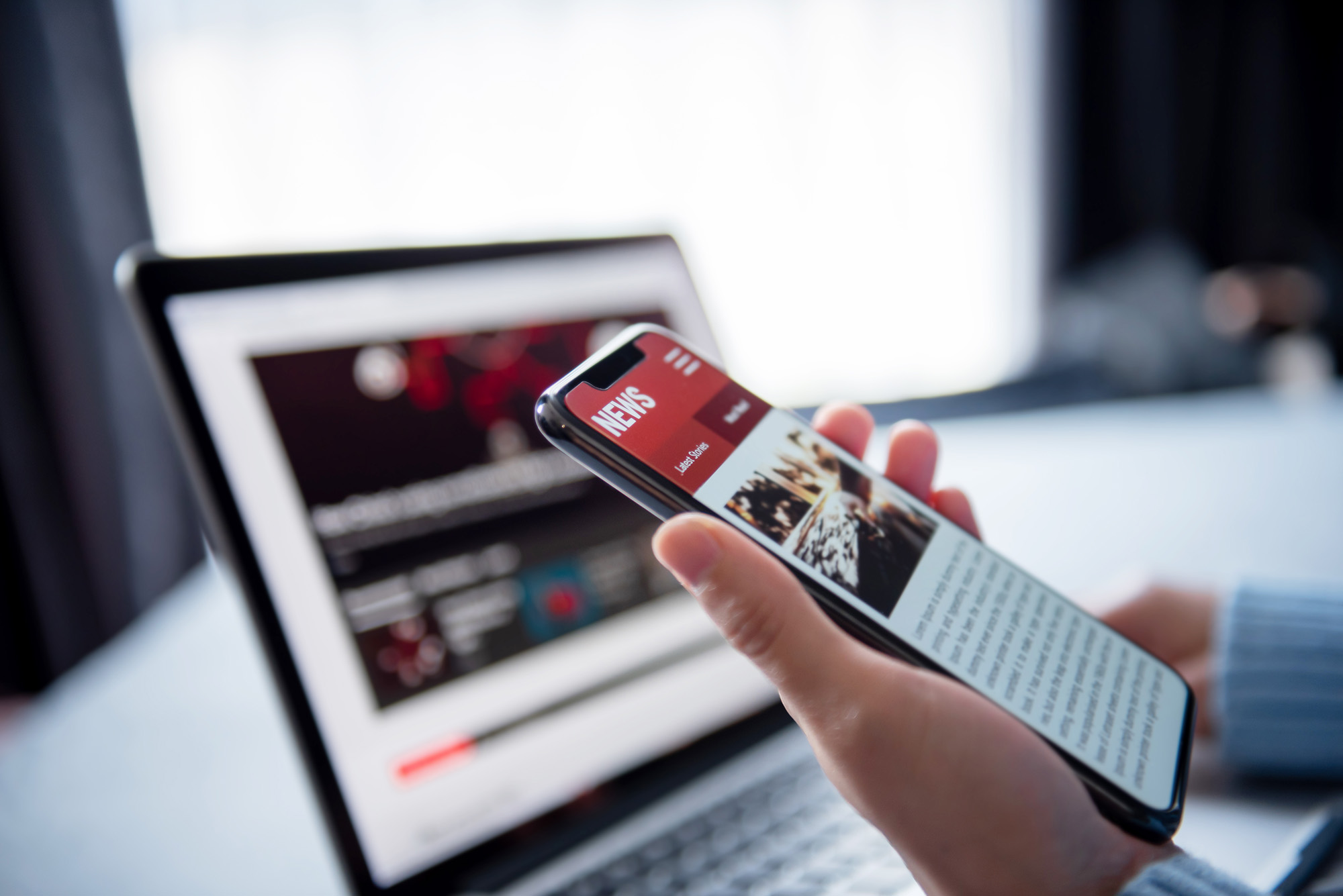 Newsletter Professionnelle